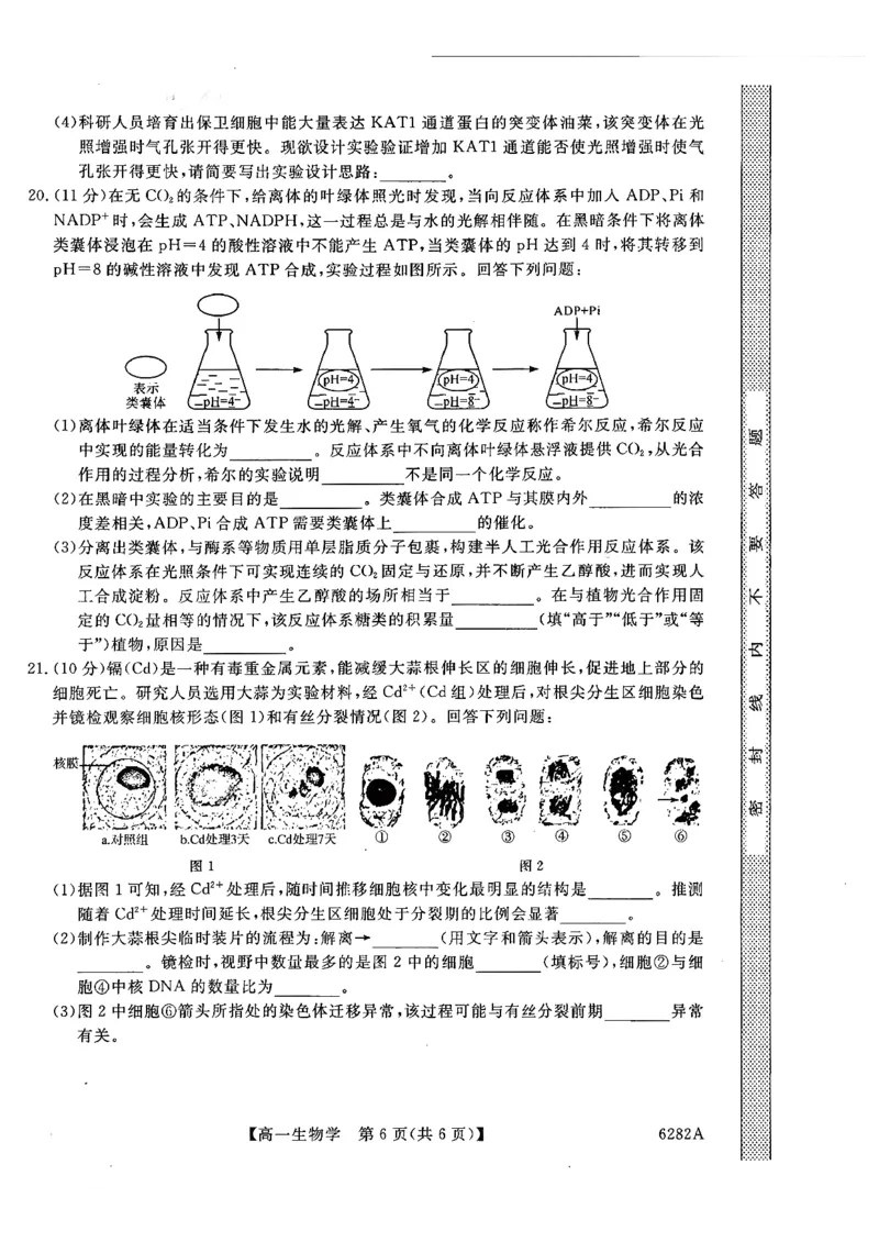 高一年级1月测评生物试题_2026年01月高一试卷_260129河南省新未来2025-2026学年高一上学期1月测评_河南省南阳市新未来2025-2026学年高一上学期1月月考生物试题含答案