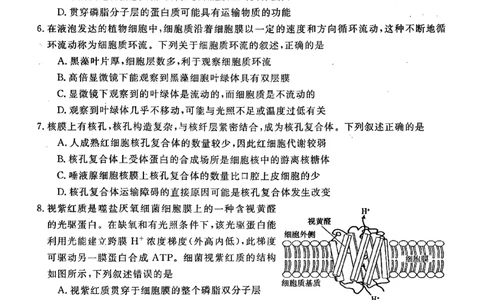 高一年级1月测评生物试题_2026年01月高一试卷_260129河南省新未来2025-2026学年高一上学期1月测评_河南省南阳市新未来2025-2026学年高一上学期1月月考生物试题含答案