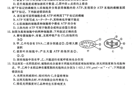 高一年级1月测评生物试题_2026年01月高一试卷_260129河南省新未来2025-2026学年高一上学期1月测评_河南省南阳市新未来2025-2026学年高一上学期1月月考生物试题含答案