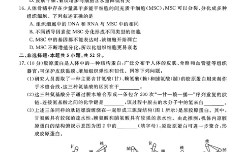 高一年级1月测评生物试题_2026年01月高一试卷_260129河南省新未来2025-2026学年高一上学期1月测评_河南省南阳市新未来2025-2026学年高一上学期1月月考生物试题含答案