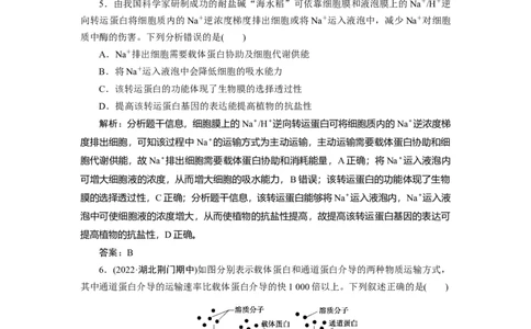 高中生物一轮复习专题训练：第6讲细胞的物质输入和输出课时作业(word版含解析）_新高考复习资料_2023年新高考复习资料_一轮复习