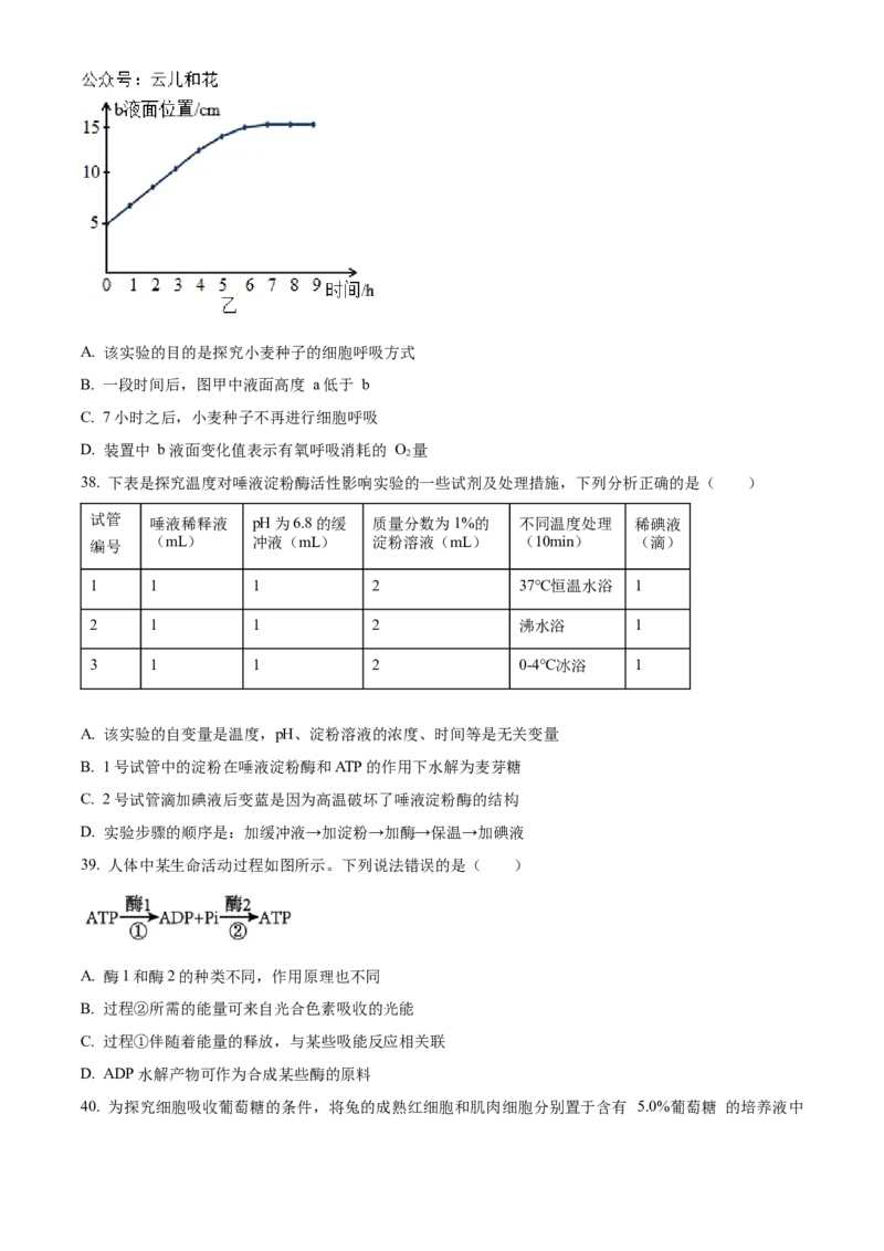 黑龙江省哈尔滨市香坊区哈尔滨市第九中学校2024-2025学年高一上学期12月月考生物试题Word版无答案_2025年01月试卷_0109黑龙江省哈尔滨市第九中学2024-2025学年高一上学期12月月考试题