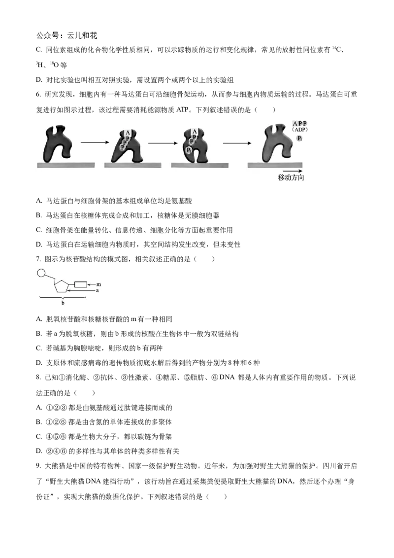 黑龙江省哈尔滨市香坊区哈尔滨市第九中学校2024-2025学年高一上学期12月月考生物试题Word版无答案_2025年01月试卷_0109黑龙江省哈尔滨市第九中学2024-2025学年高一上学期12月月考试题