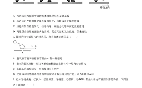 黑龙江省哈尔滨市香坊区哈尔滨市第九中学校2024-2025学年高一上学期12月月考生物试题Word版无答案_2025年01月试卷_0109黑龙江省哈尔滨市第九中学2024-2025学年高一上学期12月月考试题