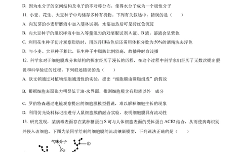 黑龙江省哈尔滨市香坊区哈尔滨市第九中学校2024-2025学年高一上学期12月月考生物试题Word版无答案_2025年01月试卷_0109黑龙江省哈尔滨市第九中学2024-2025学年高一上学期12月月考试题