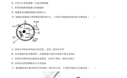 黑龙江省哈尔滨市香坊区哈尔滨市第九中学校2024-2025学年高一上学期12月月考生物试题Word版无答案_2025年01月试卷_0109黑龙江省哈尔滨市第九中学2024-2025学年高一上学期12月月考试题