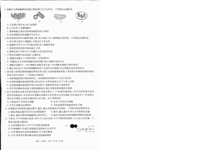 高一生物1_2025年01月试卷_0120金太阳广西2024-2025学年高一上学期12月阶段性考试_广西部分学校2024-2025学年高一上学期12月阶段性考试生物试题