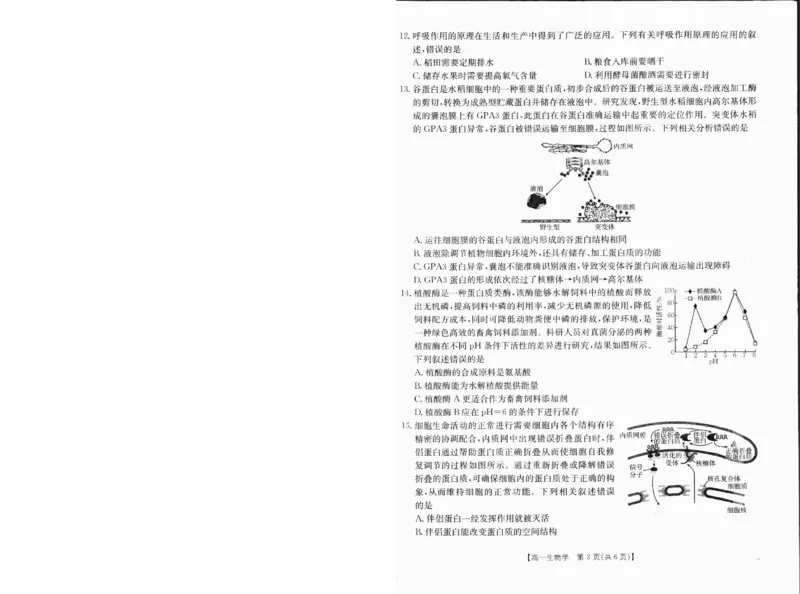 高一生物1_2025年01月试卷_0120金太阳广西2024-2025学年高一上学期12月阶段性考试_广西部分学校2024-2025学年高一上学期12月阶段性考试生物试题