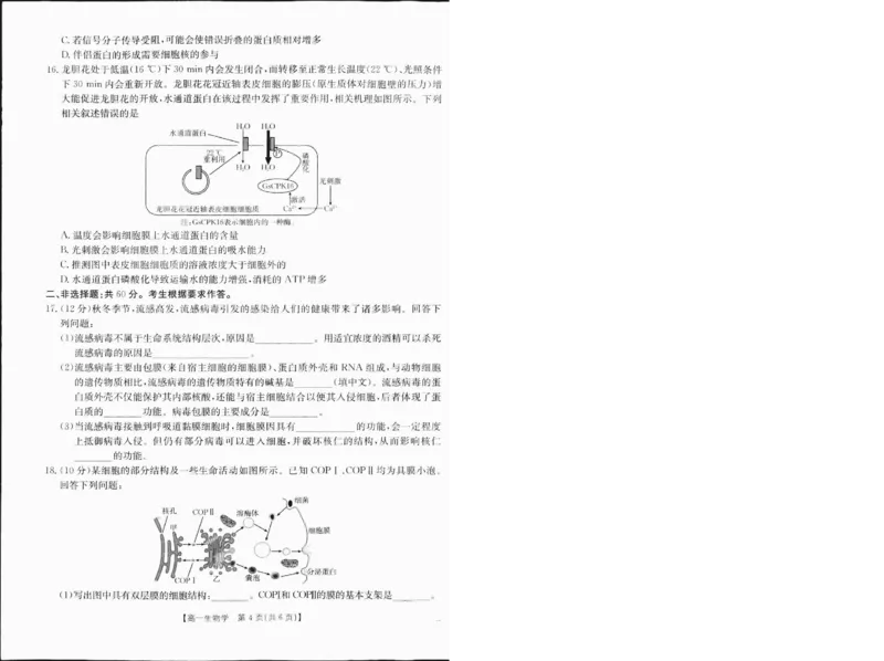 高一生物1_2025年01月试卷_0120金太阳广西2024-2025学年高一上学期12月阶段性考试_广西部分学校2024-2025学年高一上学期12月阶段性考试生物试题