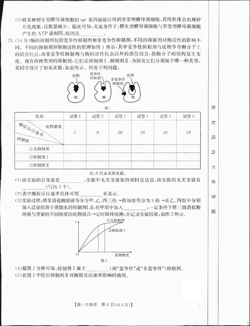 高一生物1_2025年01月试卷_0120金太阳广西2024-2025学年高一上学期12月阶段性考试_广西部分学校2024-2025学年高一上学期12月阶段性考试生物试题