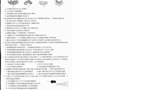 高一生物1_2025年01月试卷_0120金太阳广西2024-2025学年高一上学期12月阶段性考试_广西部分学校2024-2025学年高一上学期12月阶段性考试生物试题