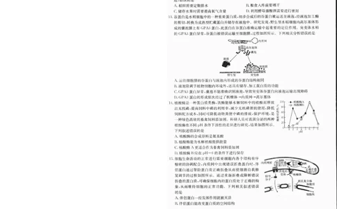 高一生物1_2025年01月试卷_0120金太阳广西2024-2025学年高一上学期12月阶段性考试_广西部分学校2024-2025学年高一上学期12月阶段性考试生物试题