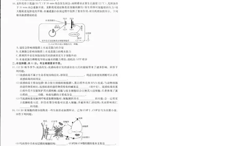 高一生物1_2025年01月试卷_0120金太阳广西2024-2025学年高一上学期12月阶段性考试_广西部分学校2024-2025学年高一上学期12月阶段性考试生物试题