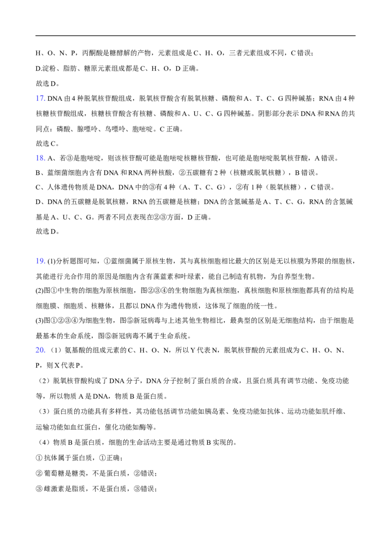 高一生物期中考试-纯答案用卷(1)_2025年11月高一试卷_251102湖北省黄冈市黄梅县育才高级中学2025-2026学年高一上学期10月期中（全）