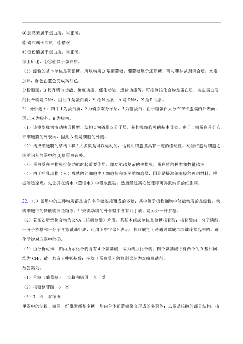 高一生物期中考试-纯答案用卷(1)_2025年11月高一试卷_251102湖北省黄冈市黄梅县育才高级中学2025-2026学年高一上学期10月期中（全）