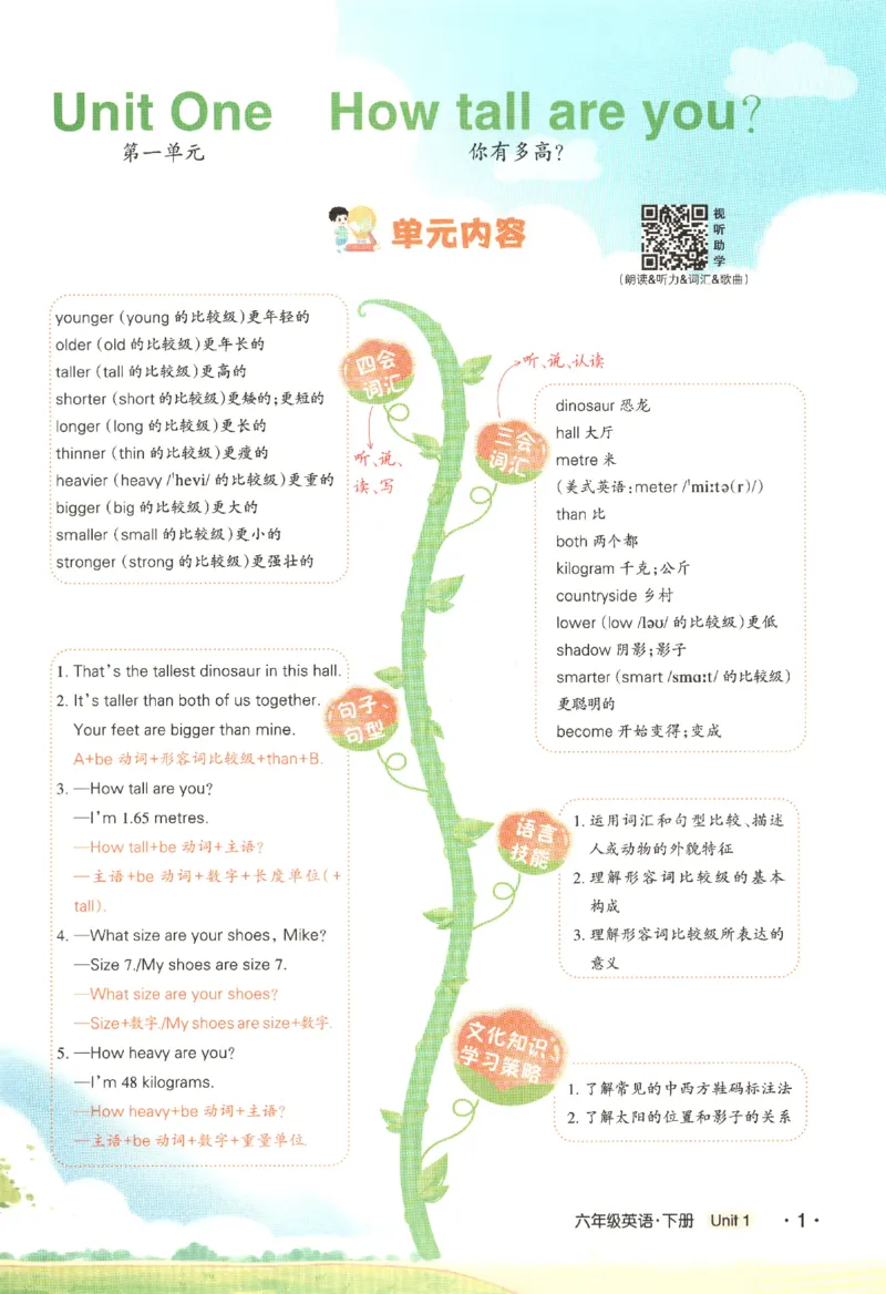25春《状元英语笔记》人教英语PEP6下（含晨读晚默）_小学《课堂笔记》数学语文英语1-6年级下册_小学英语《课堂笔记》1-6年级下册（26春）_小学英语《课堂笔记》3-6年级下册（26春）