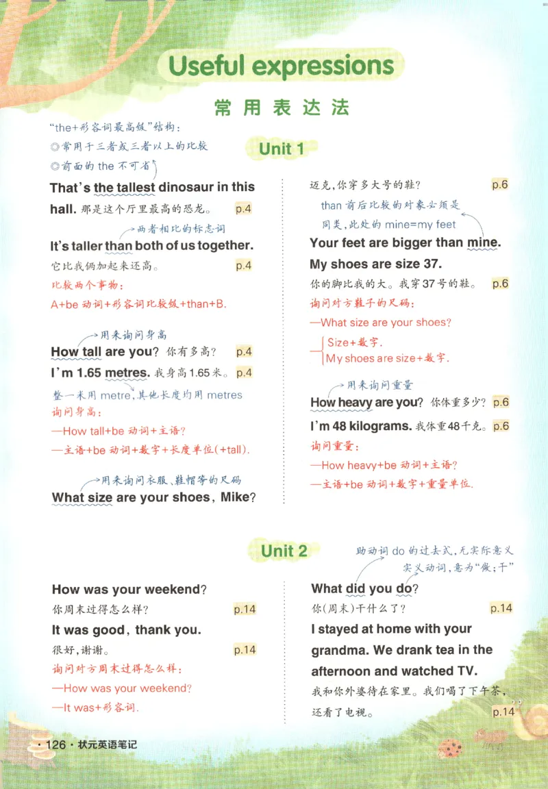 25春《状元英语笔记》人教英语PEP6下（含晨读晚默）_小学《课堂笔记》数学语文英语1-6年级下册_小学英语《课堂笔记》1-6年级下册（26春）_小学英语《课堂笔记》3-6年级下册（26春）