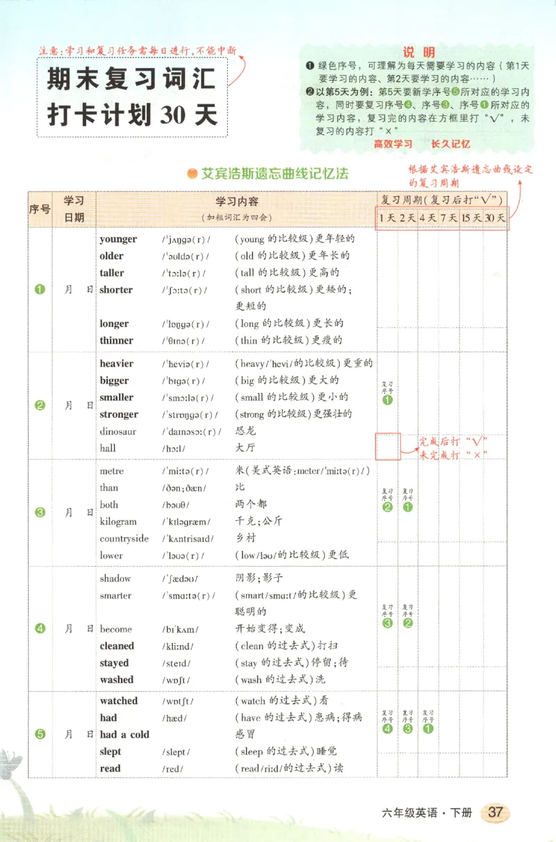 25春《状元英语笔记》人教英语PEP6下（含晨读晚默）_小学《课堂笔记》数学语文英语1-6年级下册_小学英语《课堂笔记》1-6年级下册（26春）_小学英语《课堂笔记》3-6年级下册（26春）