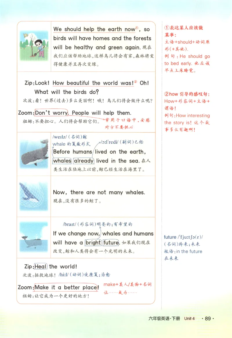 25春《状元英语笔记》人教英语PEP6下（含晨读晚默）_小学《课堂笔记》数学语文英语1-6年级下册_小学英语《课堂笔记》1-6年级下册（26春）_小学英语《课堂笔记》3-6年级下册（26春）