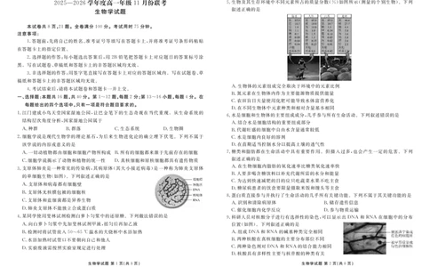 高一生物正文（2025-2026学年度11月份联考）_2025年11月高一试卷_251122广东衡水金卷&middot;2025-2026学年度高一上学期11月份联考（全）