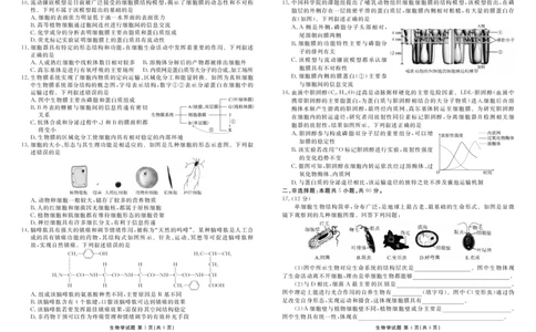 高一生物正文（2025-2026学年度11月份联考）_2025年11月高一试卷_251122广东衡水金卷&middot;2025-2026学年度高一上学期11月份联考（全）