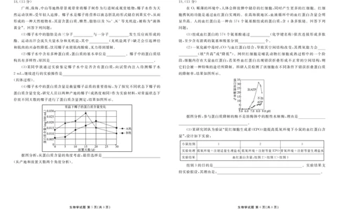 高一生物正文（2025-2026学年度11月份联考）_2025年11月高一试卷_251122广东衡水金卷&middot;2025-2026学年度高一上学期11月份联考（全）