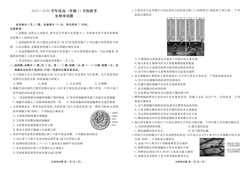 高一生物正文（2025-2026学年度11月份联考）_2025年11月高一试卷_251122广东衡水金卷&middot;2025-2026学年度高一上学期11月份联考（全）