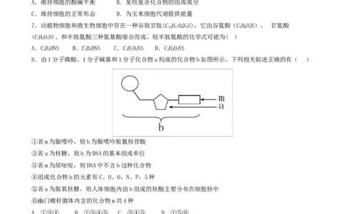 高一生物上学期第一次月考（湖南专用）测试范围：人教版2019必修一1-2章（考试版）_2025年10月高一试卷_2510032025-2026学年高一生物上学期第一次月考