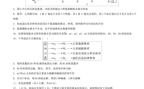 高一生物上学期第一次月考（湖南专用）测试范围：人教版2019必修一1-2章（考试版）_2025年10月高一试卷_2510032025-2026学年高一生物上学期第一次月考