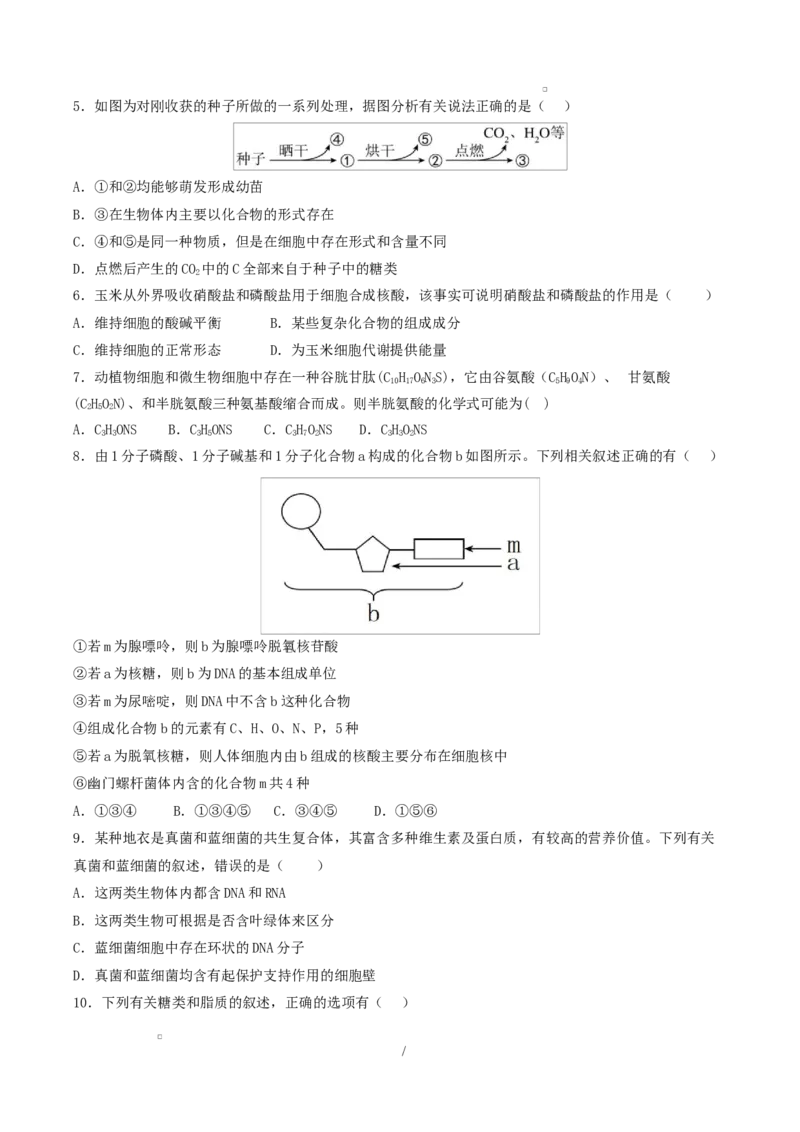 高一生物上学期第一次月考（湖南专用）测试范围：人教版2019必修一1-2章（考试版）_2025年10月高一试卷_2510032025-2026学年高一生物上学期第一次月考