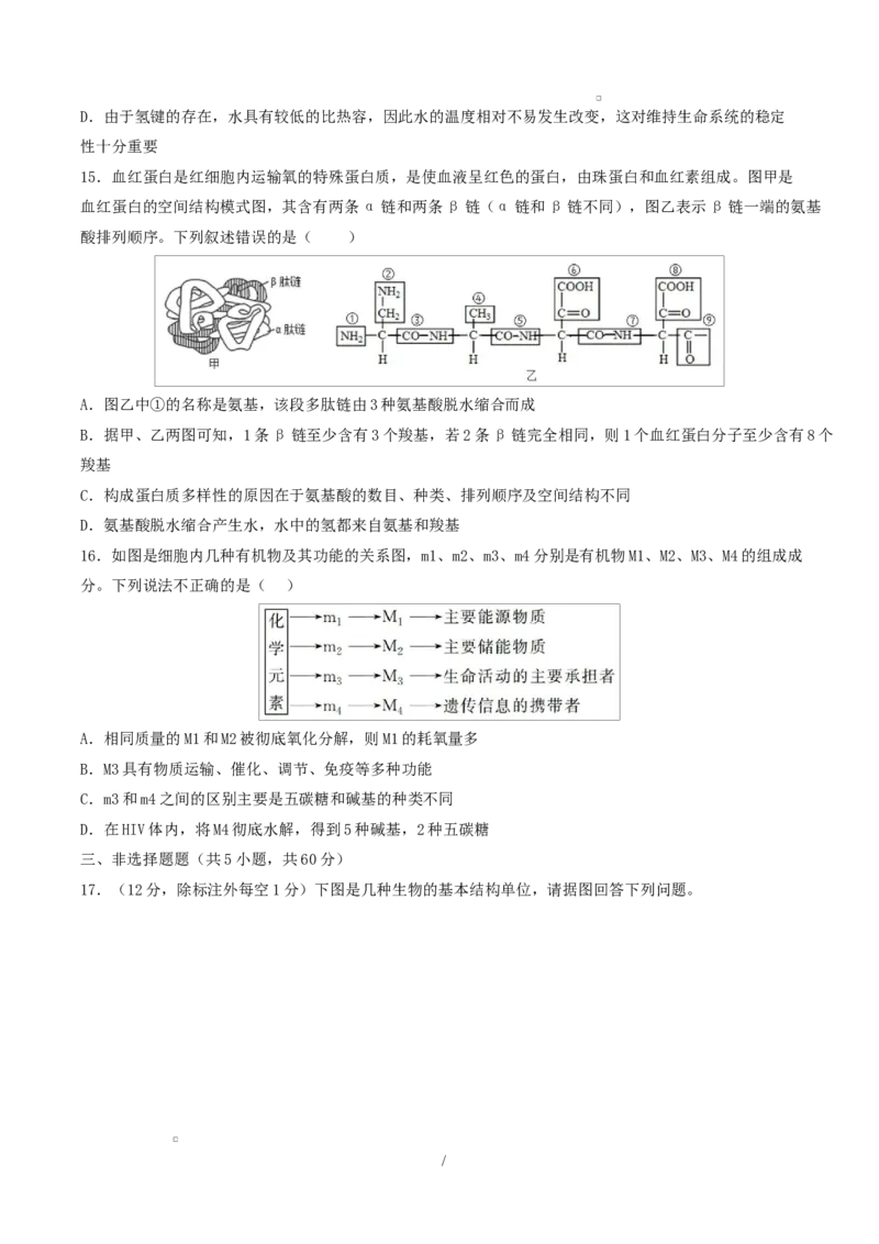 高一生物上学期第一次月考（湖南专用）测试范围：人教版2019必修一1-2章（考试版）_2025年10月高一试卷_2510032025-2026学年高一生物上学期第一次月考