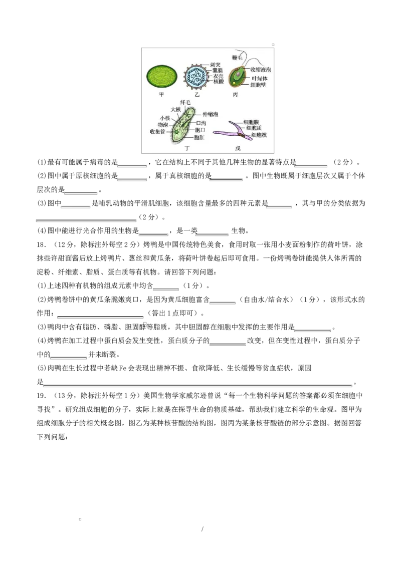 高一生物上学期第一次月考（湖南专用）测试范围：人教版2019必修一1-2章（考试版）_2025年10月高一试卷_2510032025-2026学年高一生物上学期第一次月考