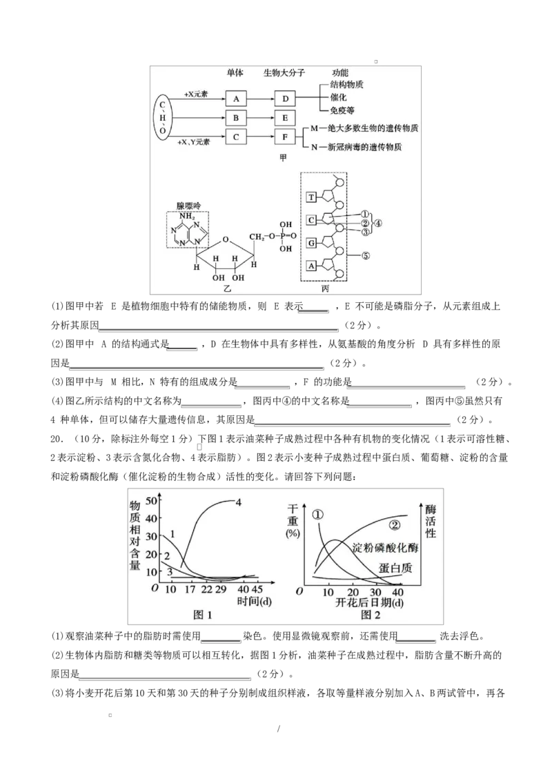 高一生物上学期第一次月考（湖南专用）测试范围：人教版2019必修一1-2章（考试版）_2025年10月高一试卷_2510032025-2026学年高一生物上学期第一次月考