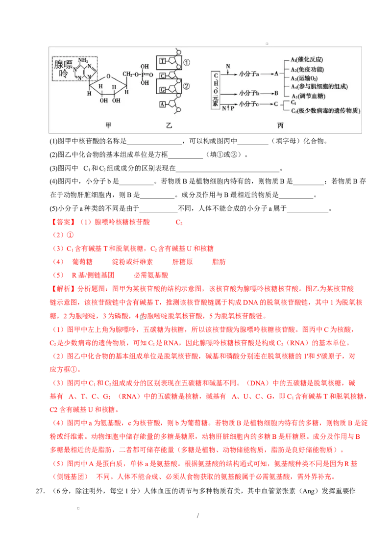 高一生物上学期第一次月考（福建专用）（全解全析）_2025年10月高一试卷_2510032025-2026学年高一生物上学期第一次月考_2025-2026学年高一生物上学期第一次月考（福建专用）Word版含解析