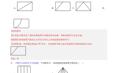 专题13几何图形初步与平行线（全国通用）（解析版）_中考复习资料_语数英物化_2数学中考复习_2026年中考复习（更新中）