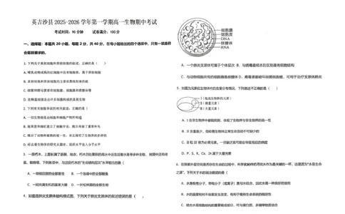 高一生物_2025年12月高一试卷_251216新疆维吾尔自治区喀什地区英吉沙县县多校2025-2026学年高一上学期12月期中