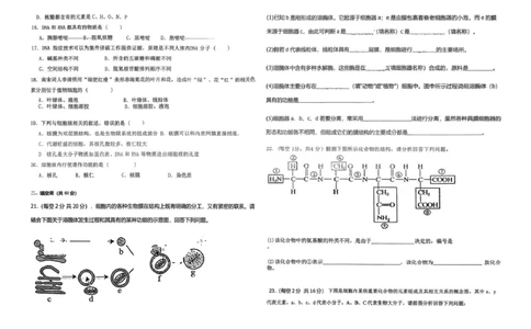高一生物_2025年12月高一试卷_251216新疆维吾尔自治区喀什地区英吉沙县县多校2025-2026学年高一上学期12月期中