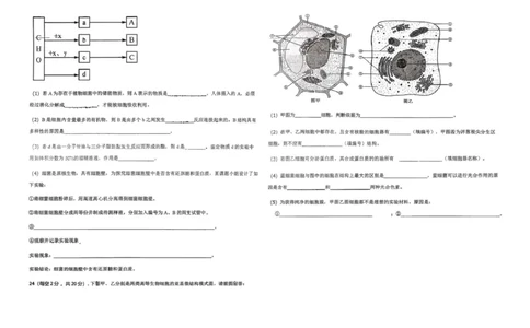 高一生物_2025年12月高一试卷_251216新疆维吾尔自治区喀什地区英吉沙县县多校2025-2026学年高一上学期12月期中