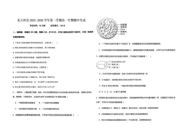 高一生物_2025年12月高一试卷_251216新疆维吾尔自治区喀什地区英吉沙县县多校2025-2026学年高一上学期12月期中