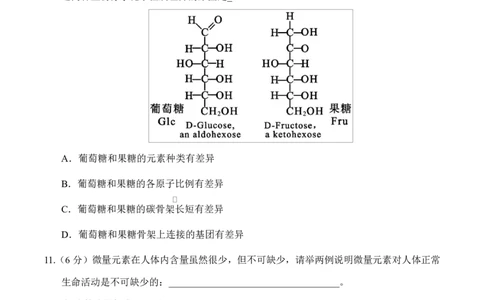 高一生物上学期第一次月考（上海专用）（考试版）_2025年10月高一试卷_2510032025-2026学年高一生物上学期第一次月考