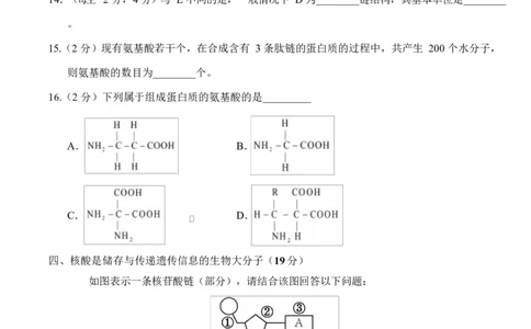 高一生物上学期第一次月考（上海专用）（考试版）_2025年10月高一试卷_2510032025-2026学年高一生物上学期第一次月考