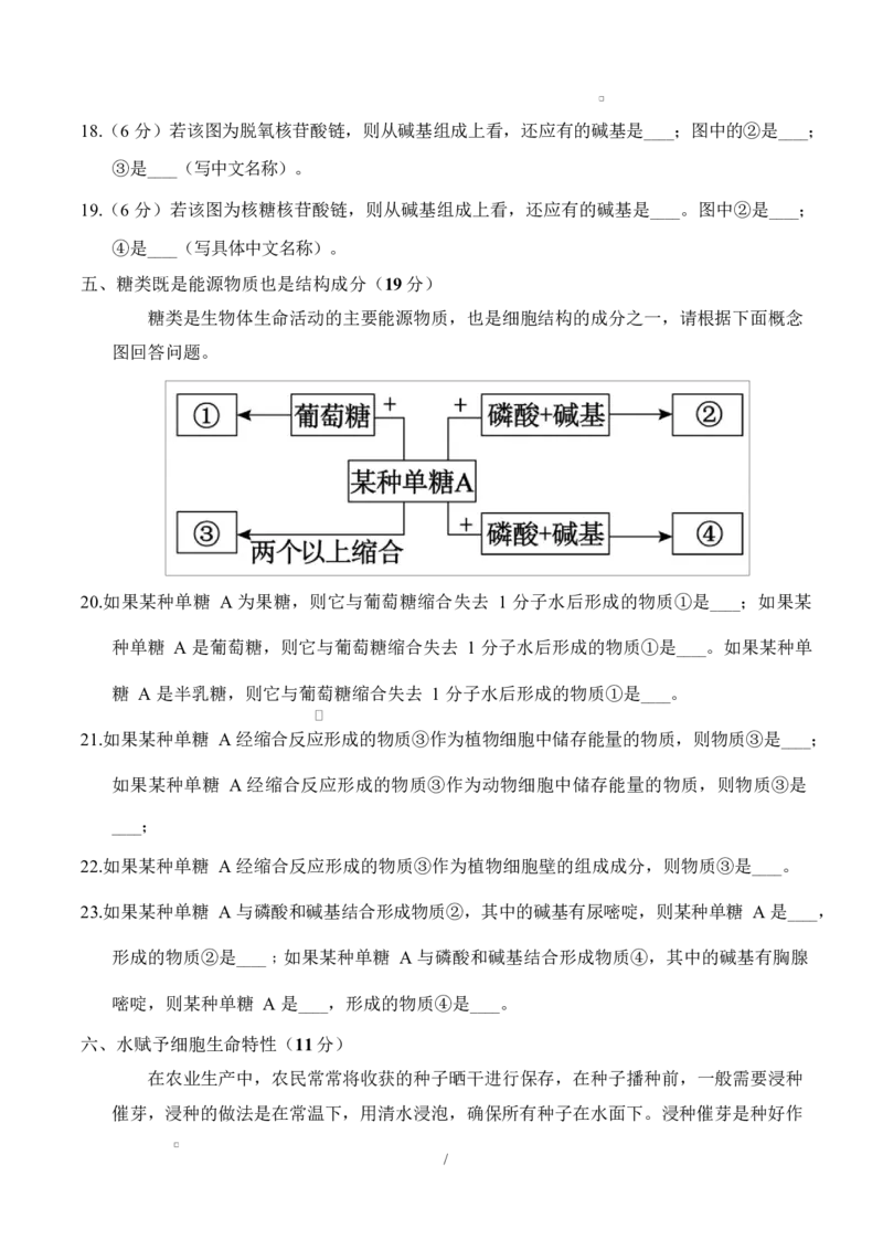 高一生物上学期第一次月考（上海专用）（考试版）_2025年10月高一试卷_2510032025-2026学年高一生物上学期第一次月考