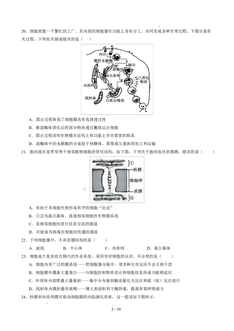 高一生物第一次月考卷测试范围：人教版2019必修1第1章~第3章（考试版）_2025年10月高一试卷_2510032025-2026学年高一生物上学期第一次月考