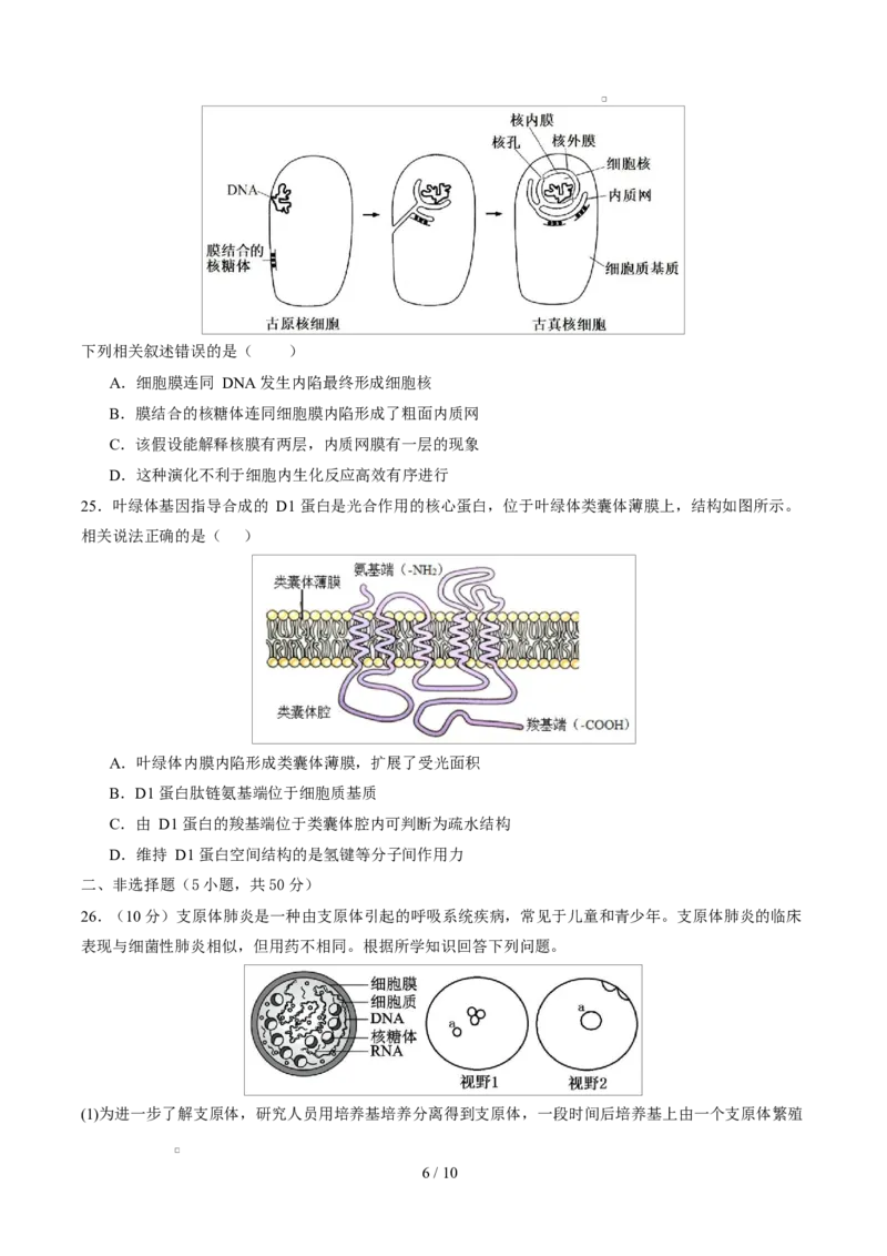 高一生物第一次月考卷测试范围：人教版2019必修1第1章~第3章（考试版）_2025年10月高一试卷_2510032025-2026学年高一生物上学期第一次月考