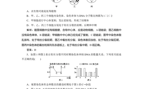 高中生物一轮复习专题训练：第11讲细胞的增殖（word含解析）_新高考复习资料_2023年新高考复习资料_一轮复习_名师精选2023届新高考生物一轮复习专题训练卷(word版含解析）