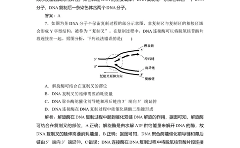高中生物一轮复习专题训练：第18讲DNA的结构（word含解析）_新高考复习资料_2023年新高考复习资料_一轮复习_名师精选2023届新高考生物一轮复习专题训练卷(word版含解析）
