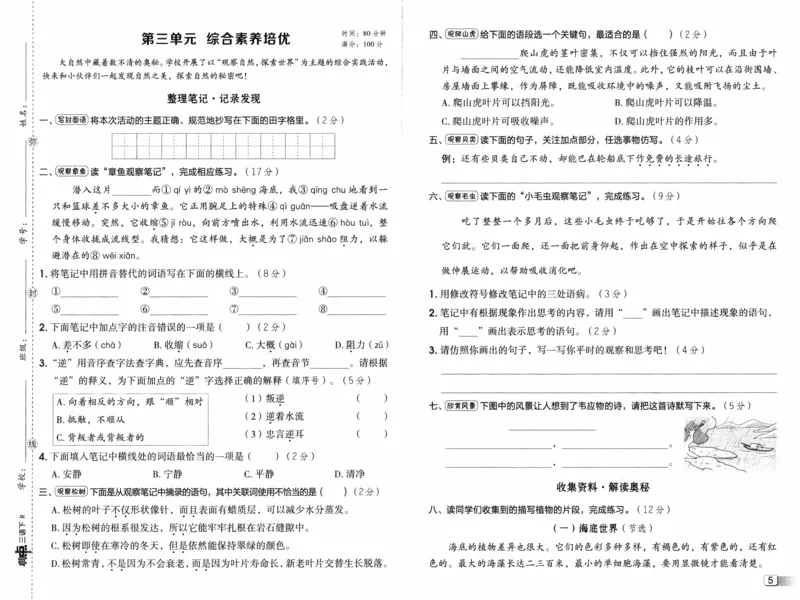 26春《典中点-试卷》人教语文3下(1)_2026春小学教辅大合集_6-26春《典中点》系列_26春《典中点》语文人教版（完整版）_26春三年级下册语文《典中点》