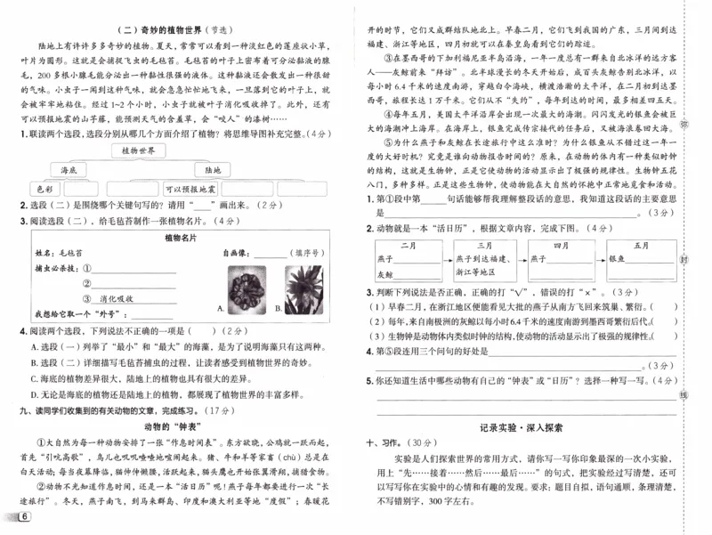 26春《典中点-试卷》人教语文3下(1)_2026春小学教辅大合集_6-26春《典中点》系列_26春《典中点》语文人教版（完整版）_26春三年级下册语文《典中点》