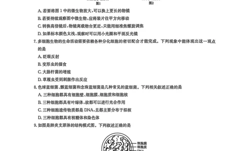 高一生物2025-10-1516.45_2025年10月高一试卷_251019河南洛阳强基联盟2025-2026学年高一上学期10月联考（全）_河南洛阳强基联盟2025-2026学年高一上学期10月联考生物试题含答案