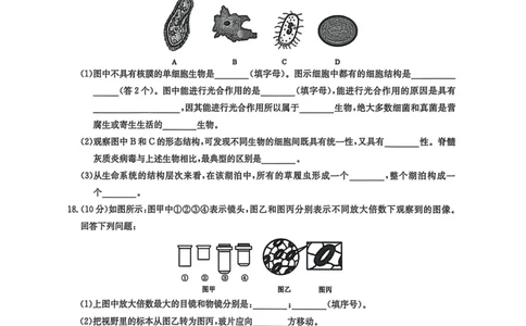 高一生物2025-10-1516.45_2025年10月高一试卷_251019河南洛阳强基联盟2025-2026学年高一上学期10月联考（全）_河南洛阳强基联盟2025-2026学年高一上学期10月联考生物试题含答案